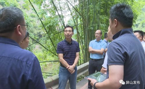 代軍深入龍華鎮(zhèn)調(diào)研指導(dǎo)，聚焦旅游項(xiàng)目開發(fā)新藍(lán)圖